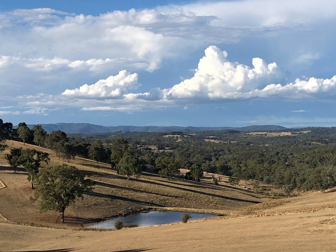 🏞️ The crisp morning air hits your face as you stand at the edge of the Yarra Valley… 12-Day Family Adventure Itinerary!