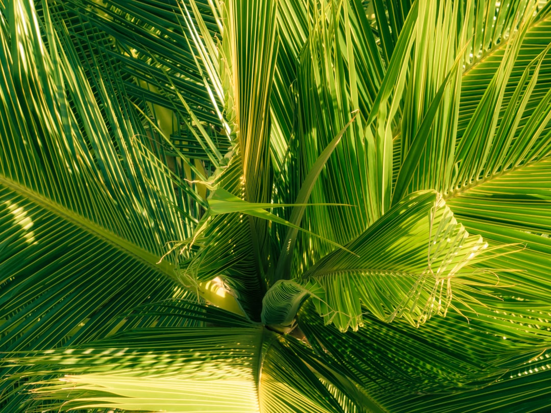 Best Time for Photography in Far North Queensland | Monthly Breakdown