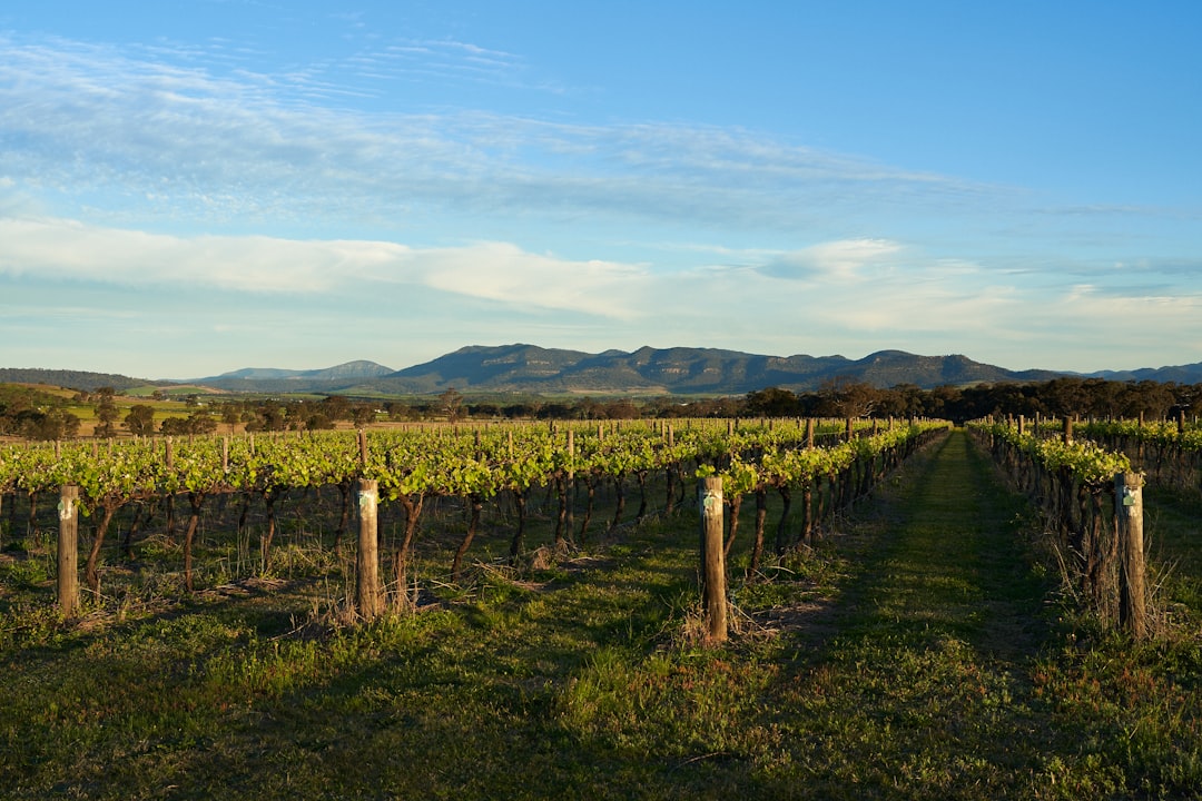 NSW Mountain Biking Guide: 5 Best Locations